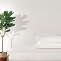 Duchamp Premium Cotton Sateen Embroidered Duvet Set Bright White