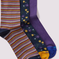 3 Pack Socks Gift Set in Purple