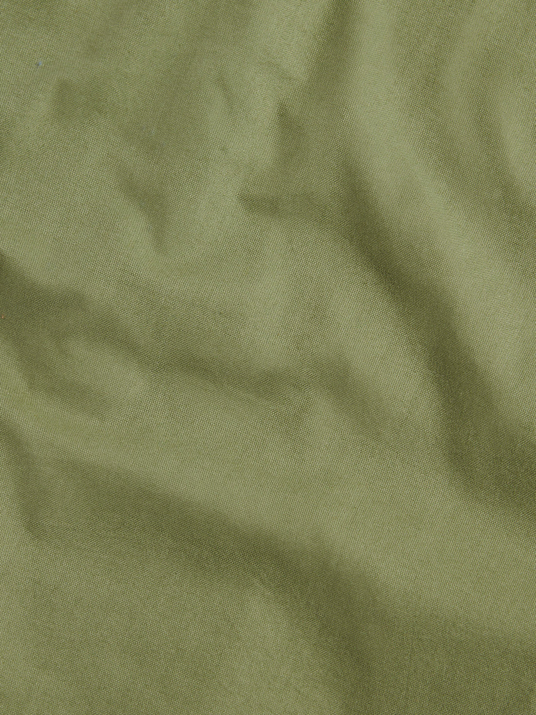 Duchamp Mens Oxford Shirt in Olivine