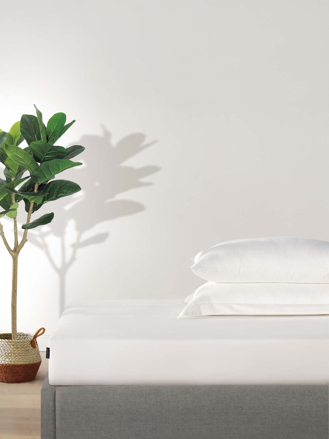 Duchamp Premium Cotton Sateen Embroidered Duvet Set Bright White